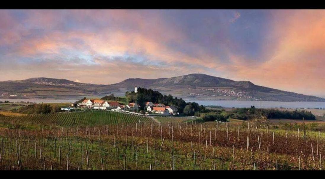 Ubytovani U Leose Zaječí Bagian luar foto